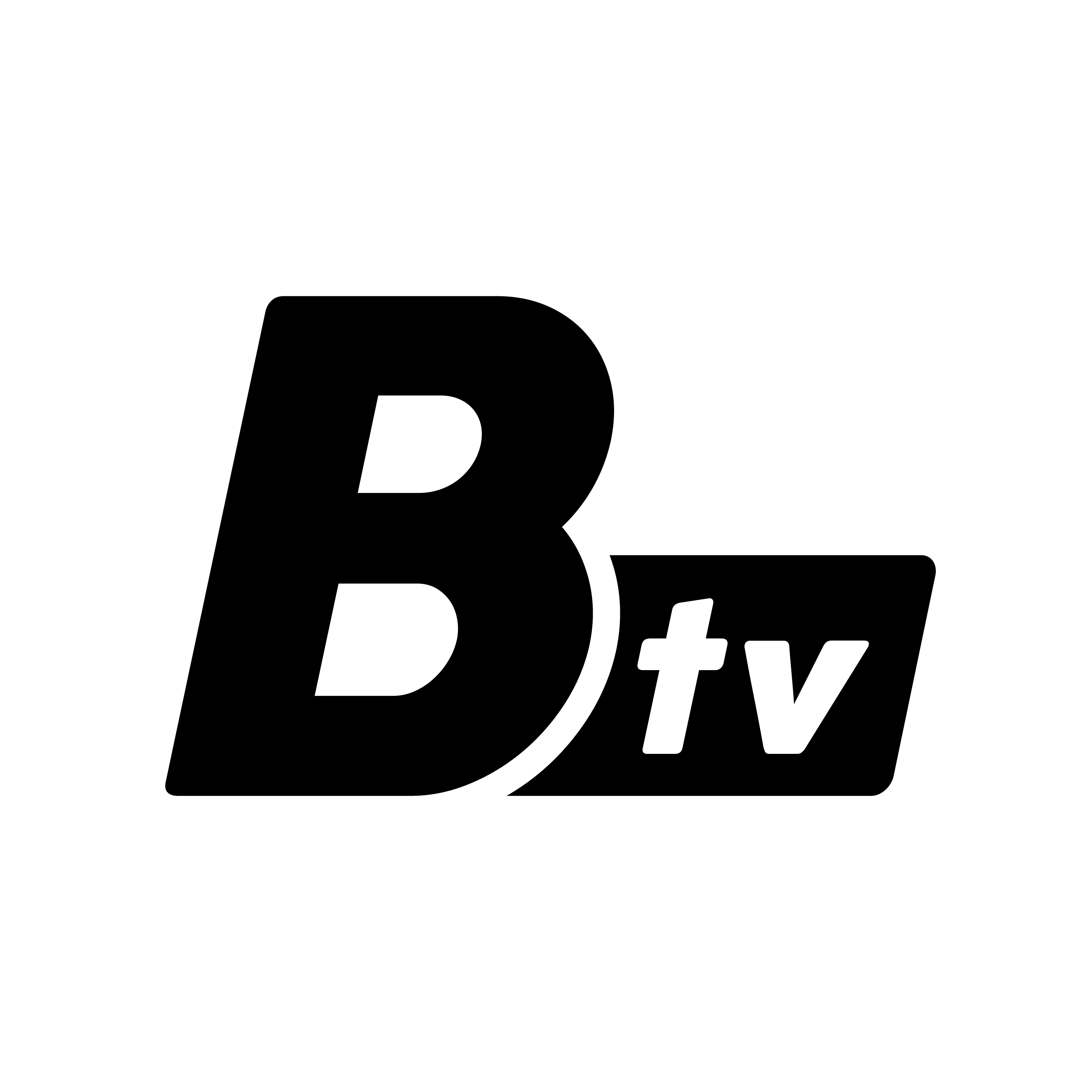 BTV Logo 1